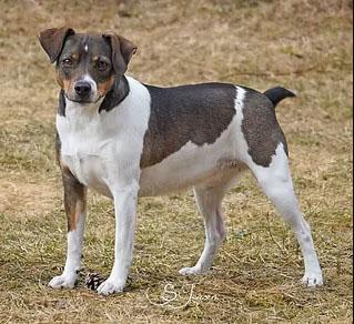 AMANDA'S MIN SMUKKE DORIS